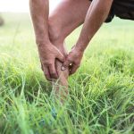Preventing and Managing Varicose Veins in Your 50s